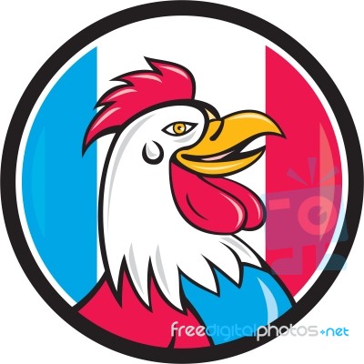 French Rooster Head France Flag Circle Cartoon Stock Image