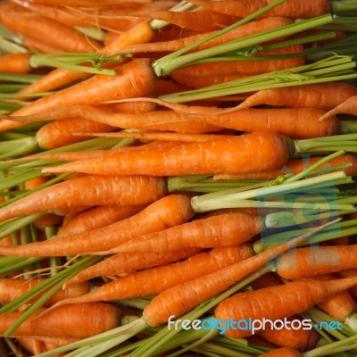 Fresh And Colorful Carrots Stock Photo