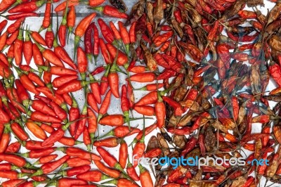 Fresh And Dry Chili Stock Photo