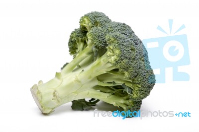 Fresh And Healthy Broccoli Vegetable Stock Photo