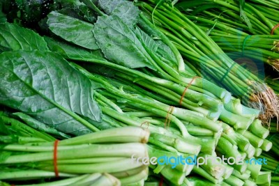 Fresh Asian Kale Lettuce In Market Stock Photo