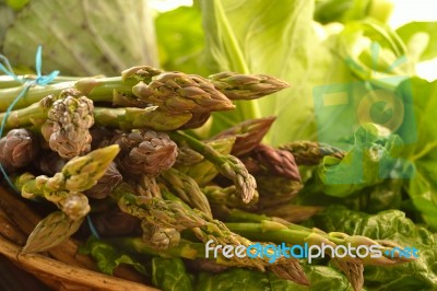 Fresh Asparagus Stock Photo