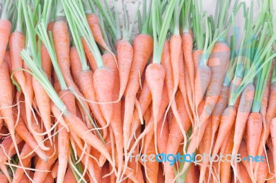 Fresh Baby Carrots Bunch On Sell Stock Photo