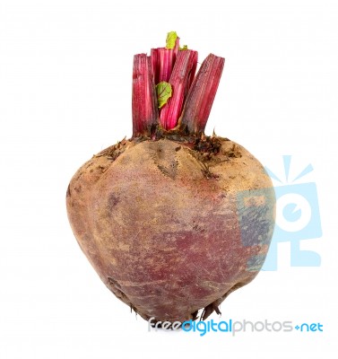 Fresh Beetroot Isolated On The White Background Stock Photo