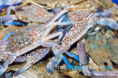 Fresh Blue Crabs On Ice Exposition At The Seafood Market In Thai… Stock Photo