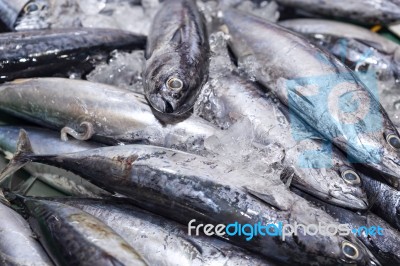 Fresh Bluefin Tuna Fish On Ice Exposition At The Seafood Market Stock Photo