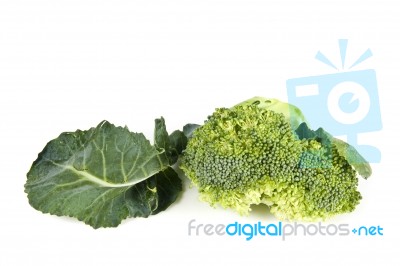 Fresh Broccoli Stock Photo