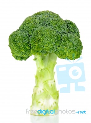 Fresh Broccoli Isolated On The White Background Stock Photo