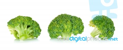 Fresh Broccoli Isolated On The White Background Stock Photo