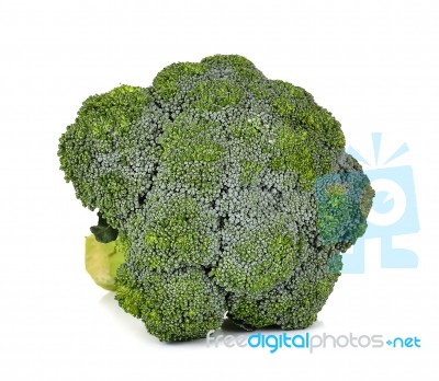 Fresh Broccoli Isolated On The White Background Stock Photo