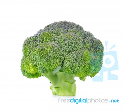 Fresh Broccoli Isolated On White Background Stock Photo