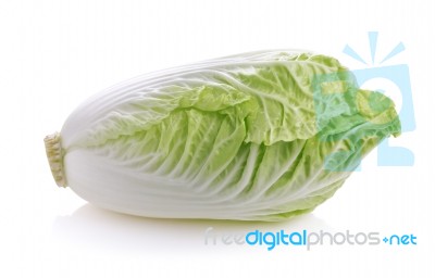 Fresh Cabbage On White Background Stock Photo