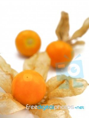 Fresh Cape Goosebery, Physalis, On White Background Stock Photo