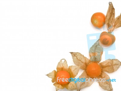 Fresh Cape Goosebery, Physalis, On White Background Stock Photo