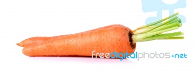 Fresh Carrot Isolated On A White Background Stock Photo