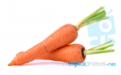 Fresh Carrot Isolated On A White Background Stock Photo