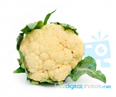 Fresh Cauliflower Stock Photo