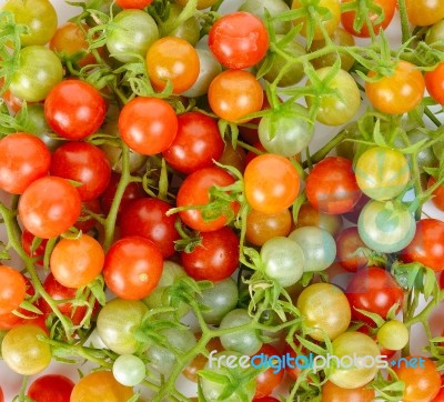 Fresh Cherry Tomato For Background Texture Stock Photo