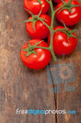 Fresh Cherry Tomatoes On A Cluster Stock Photo