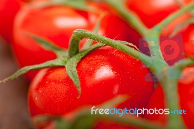 Fresh Cherry Tomatoes On A Cluster Stock Photo