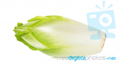 Fresh Chicory Isolated On A White Background Stock Photo