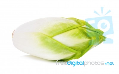 Fresh Chicory Isolated On A White Background Stock Photo