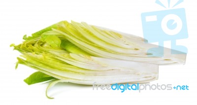 Fresh Chicory Isolated On A White Background Stock Photo