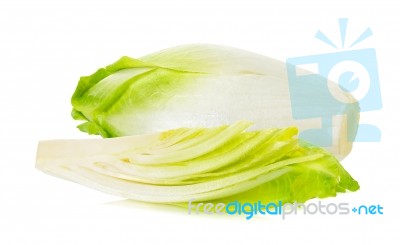 Fresh Chicory On A White Background Stock Photo