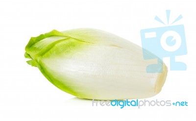 Fresh Chicory On A White Background Stock Photo