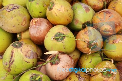 Fresh Coconut Background Stock Photo