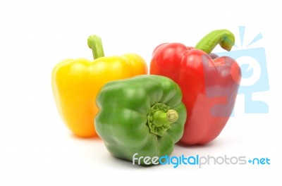 Fresh Colorful Paprika Isolated Stock Photo