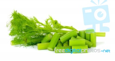 Fresh Fennel Isolated Stock Photo