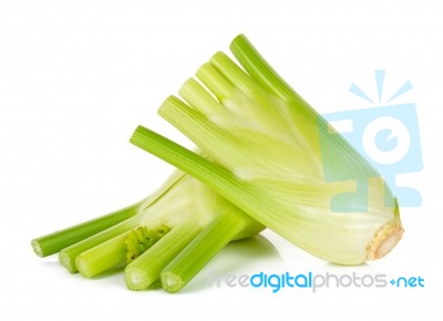 Fresh Fennel Isolated On The White Background Stock Photo