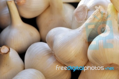 Fresh Garlic Stock Photo