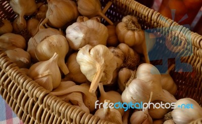 Fresh Garlic Stock Photo