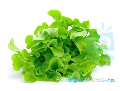 Fresh Green Lettuce Leaves Isolated On White Stock Photo