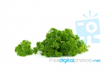 Fresh Green Parsley On White Background Stock Photo