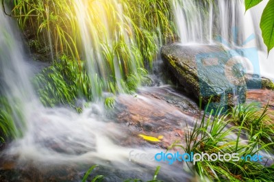 Fresh Green Plant And Rock In Middle Mun Dang Waterfall Rain Sea… Stock Photo