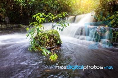 Fresh Green Plant And Rock In Middle Mun Dang Waterfall Rain Sea… Stock Photo