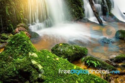 Fresh Green Plant And Rock In Middle Mun Dang Waterfall Rain Sea… Stock Photo