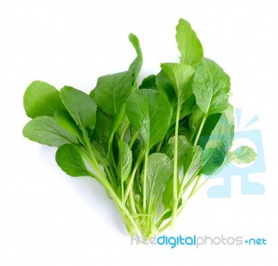 Fresh Green Turnip On The  White Background Stock Photo