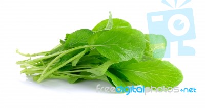 Fresh Green Turnip On The  White Background Stock Photo