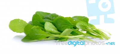 Fresh Green Turnip On The White Background Stock Photo