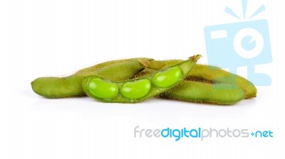 Fresh Harvested Soybean (edamame) Plant Isolated On White Backgr… Stock Photo