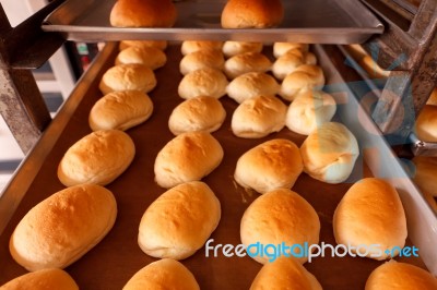 Fresh Hot Bread In Trey Stock Photo