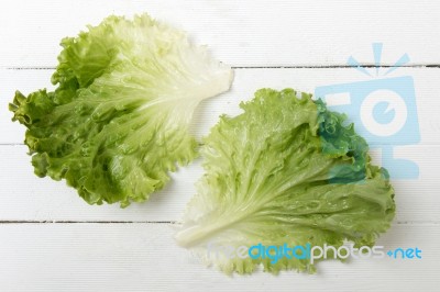 Fresh Lettuce Leaf Isolated On White Stock Photo