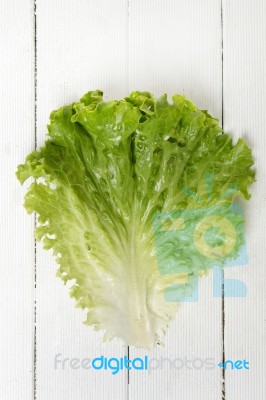 Fresh Lettuce Leaf Isolated On White Stock Photo