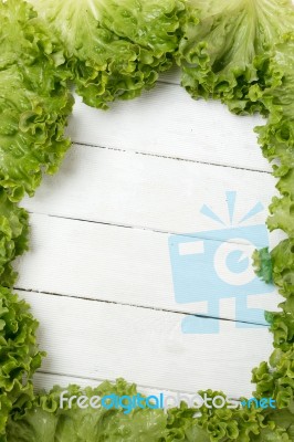 Fresh Lettuce Leafs Creating A Frame Stock Photo