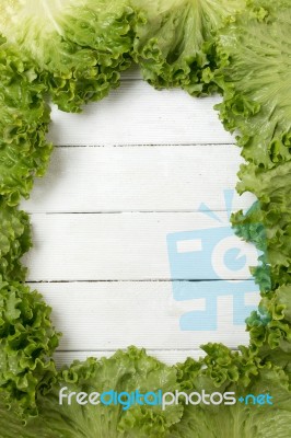 Fresh Lettuce Leafs Creating A Frame Stock Photo