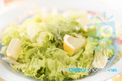 Fresh Lettuce Salad Stock Photo